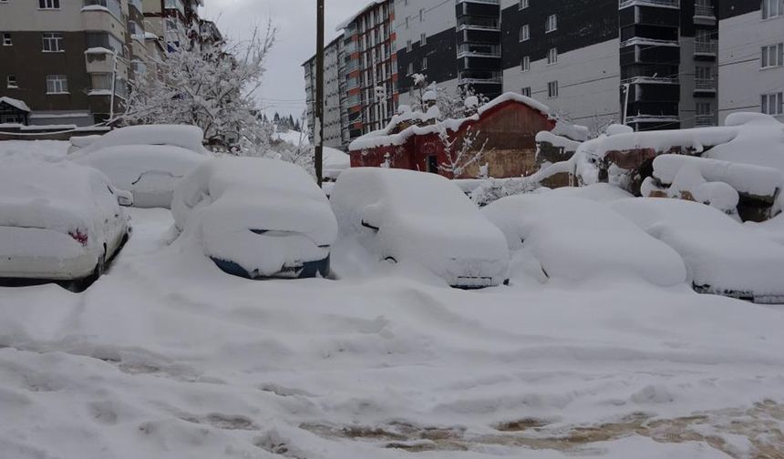 Artvin merkez ve 4 ilçede eğitime ara verildi