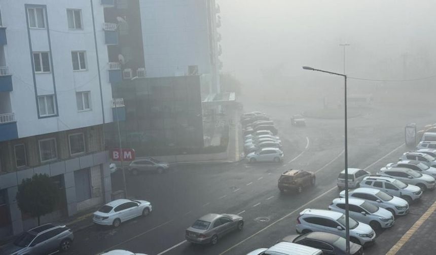 Diyarbakır'da sis engeli, uçak seferleri rötar yaptı