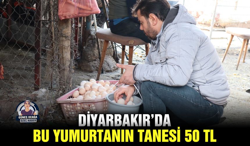 Diyarbakır’da bu yumurtanın tanesi 50 TL