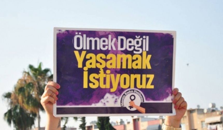 Mardin Nusaybin'de 2 kadını öldürenin kimliği belirlendi