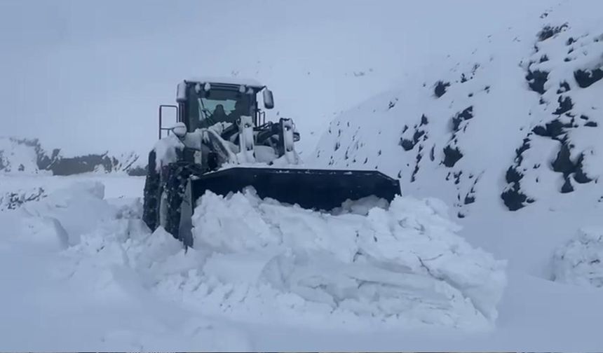 Şırnak'ta kar esareti: Beyaz örtü yarım metreyi geçti