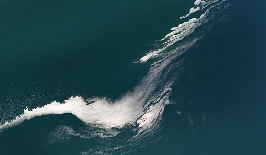 Van Gölü yüzeyindeki köpük gizemi