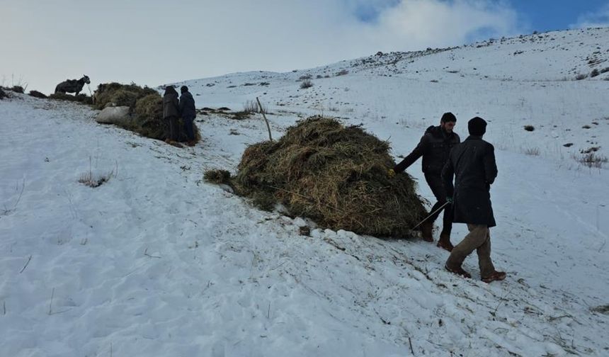 Van’da asırlık kış mesaisi: Otlar kızaklarla köye taşınıyor