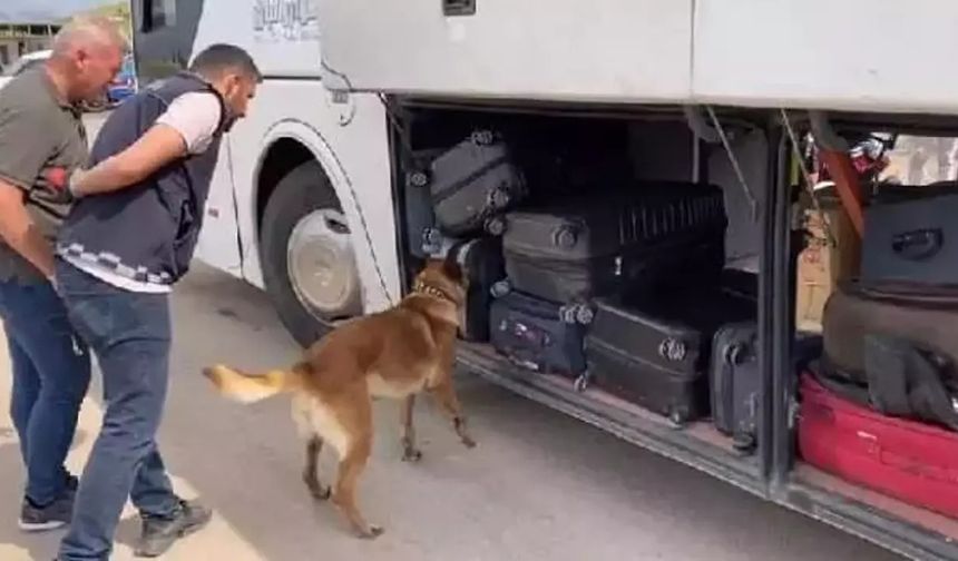 Yolcu otobüsünde 3 kilo 135 gram uyuşturucu ele geçirildi