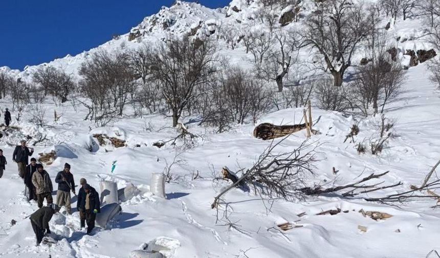 Ahırların üzerine çığ düştü, hayvanlar telef oldu