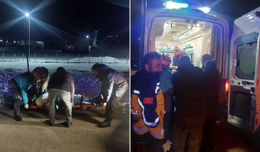 Domuz sürüsüne çarpan otomobilde 3 yaralı