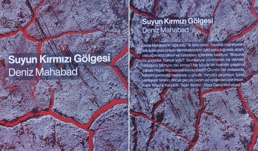 "Suyun Kırmızı Gölgesi" üzerine değerlendirme