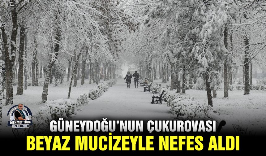 Güneydoğu’nun Çukurovası beyaz mucizeyle nefes aldı