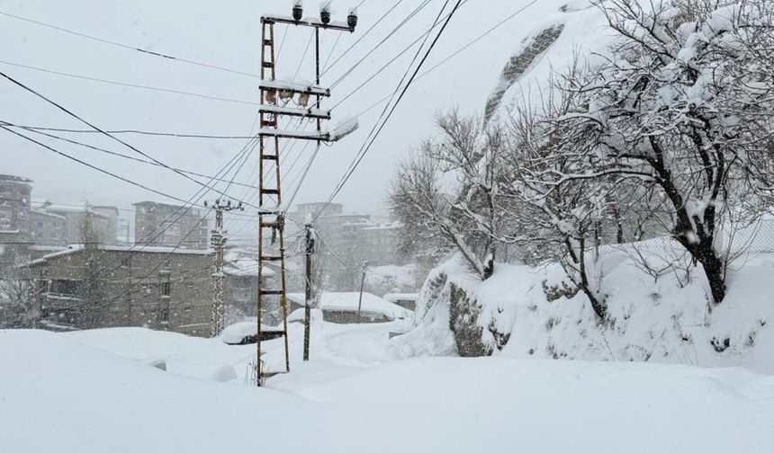 Hakkari'de 89 yerleşim yerinin yolu kapandı