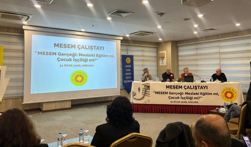 Eğitim Sen’den MESEM çalıştayı:  Çocukların yaşam hakkı tehdit altında
