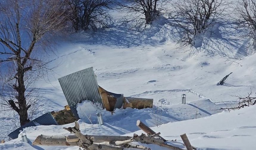 Yüksekova'da çığ yaraları sarılıyor