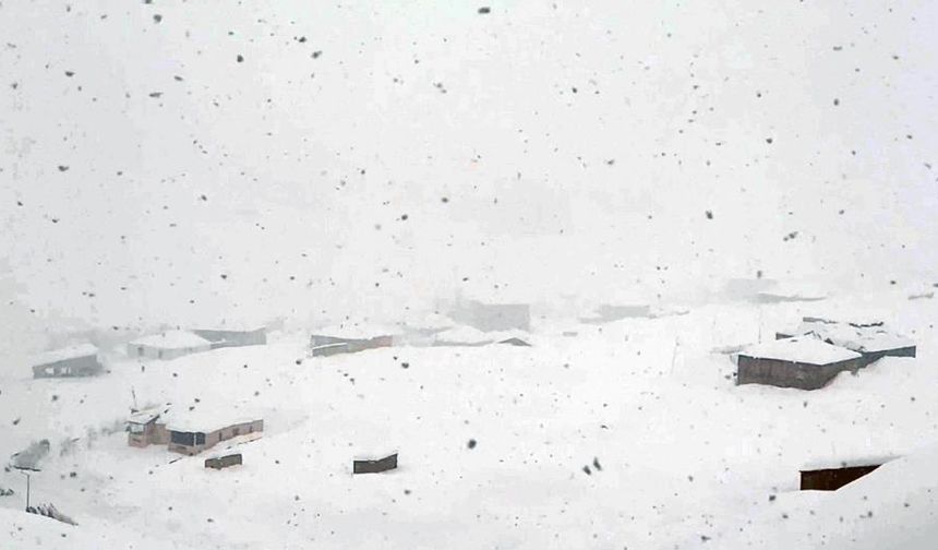 Yüksekova’da kar esareti