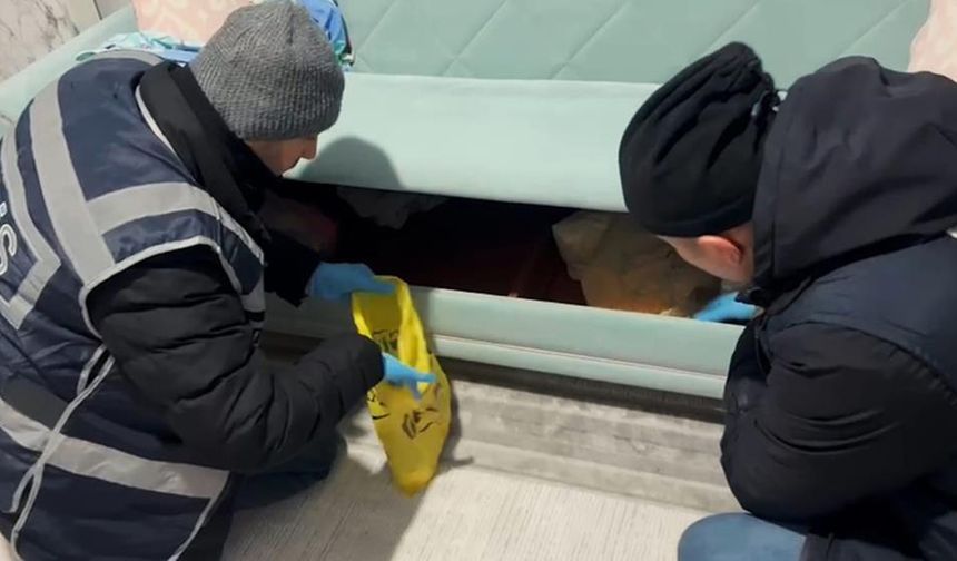 Bitlis merkezli yasa dışı bahis operasyonu: 24 tutuklama