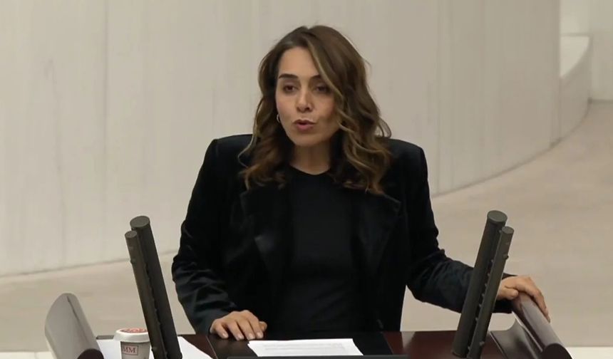 DEM Parti vekili Kaya, petrol kulelerinde çalışan işçileri Meclis’e taşıdı