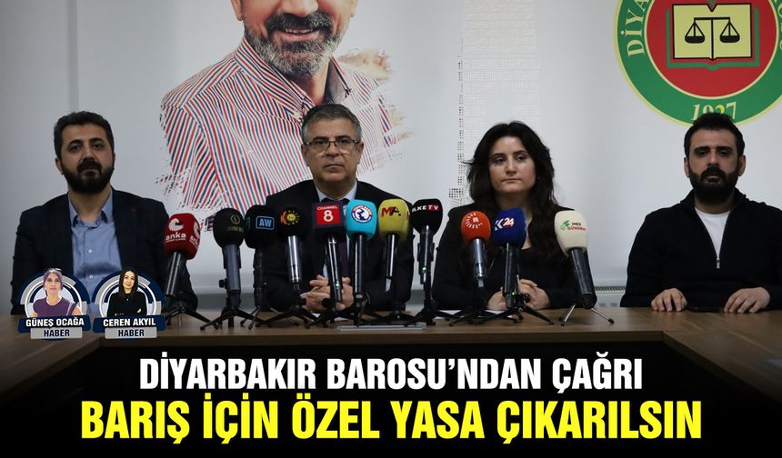Diyarbakır Barosu’ndan çağrı: Barış için özel yasa çıkarılsın
