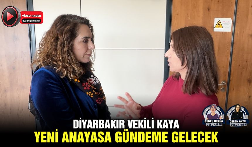 Diyarbakır Vekili Kaya: Yeni anayasa gündeme gelecek