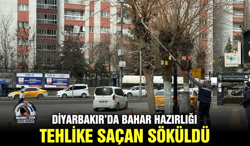 Diyarbakır’da bahar hazırlığı, tehlike saçan söküldü