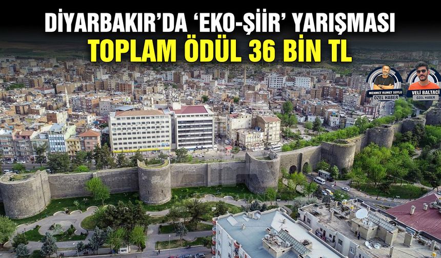 Diyarbakır’da ‘Eko-Şiir’ yarışması: Toplam ödül 36 bin TL