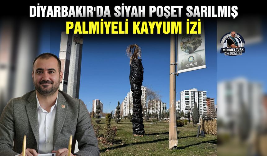 Diyarbakır'da siyah poşet sarılmış palmiyeli kayyum izi