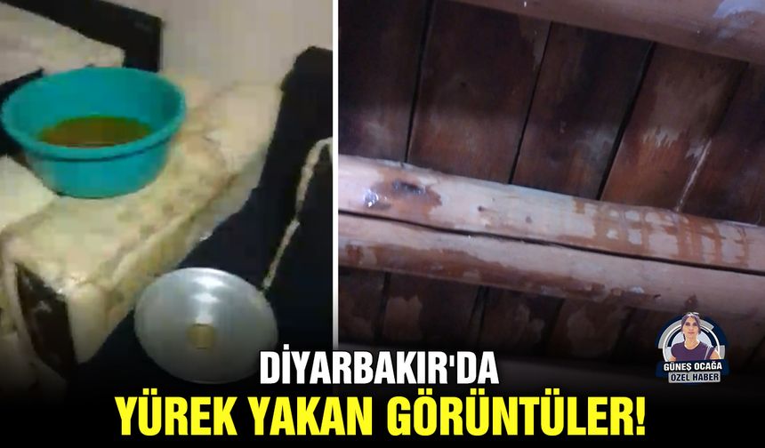 Diyarbakır'da yürek yakan görüntüler!