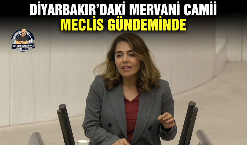 Diyarbakır’daki Mervani Camii, Meclis gündeminde