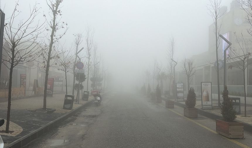 Mardin'de yoğun sis