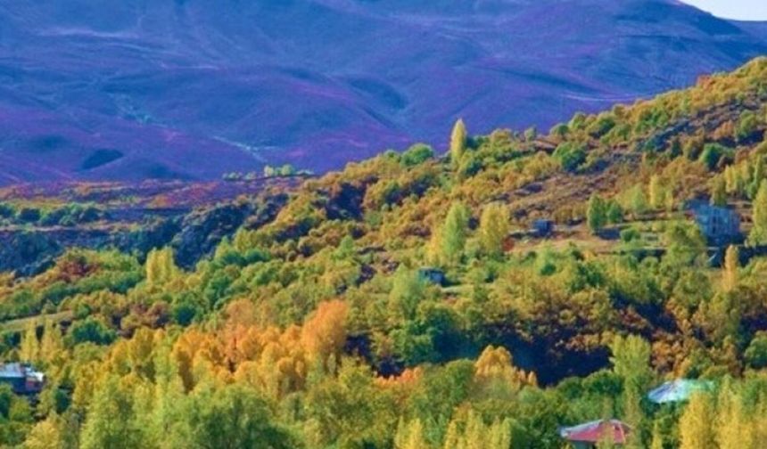 Resmi gazetede yayınlandı: 21 ilde orman sınırları dışına çıkarılan alanlar