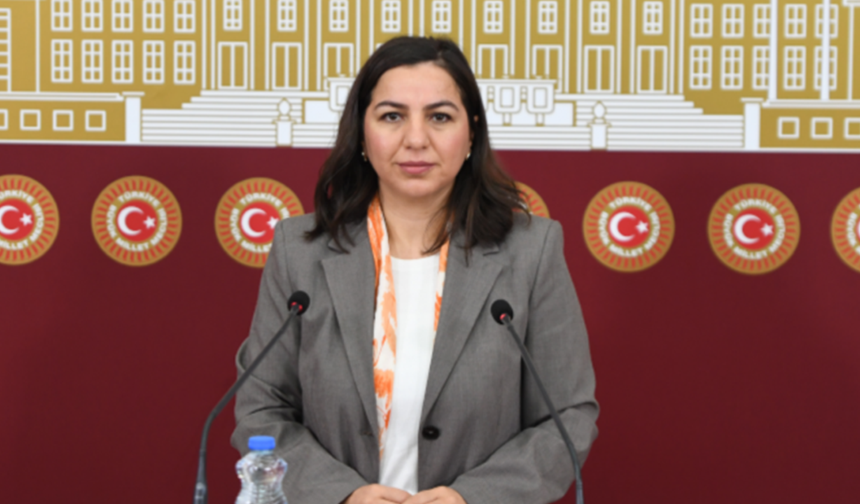 Kürtçe yazma eserlerde 'ayrımcılık' iddiaları Meclis gündeminde