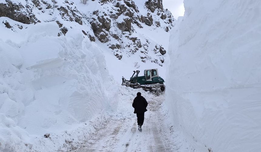 Kar kaplanlarının 5 aileyi kurtarma mücadelesi