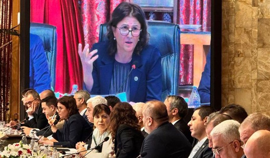 Türkan Elçi komisyon raporuna neden çekimser kaldığını açıkladı