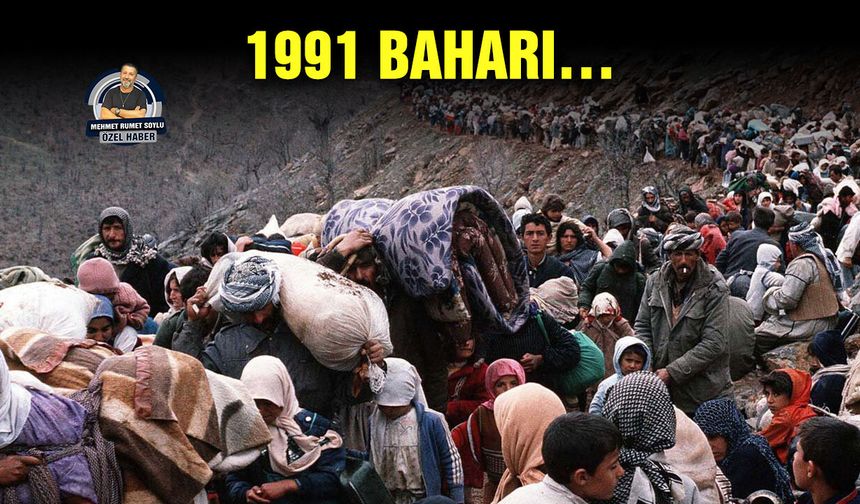 1991 baharı…