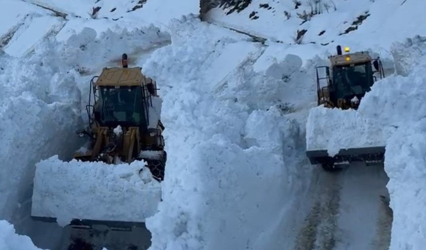 Bitlis’te köy yoluna çığ düştü
