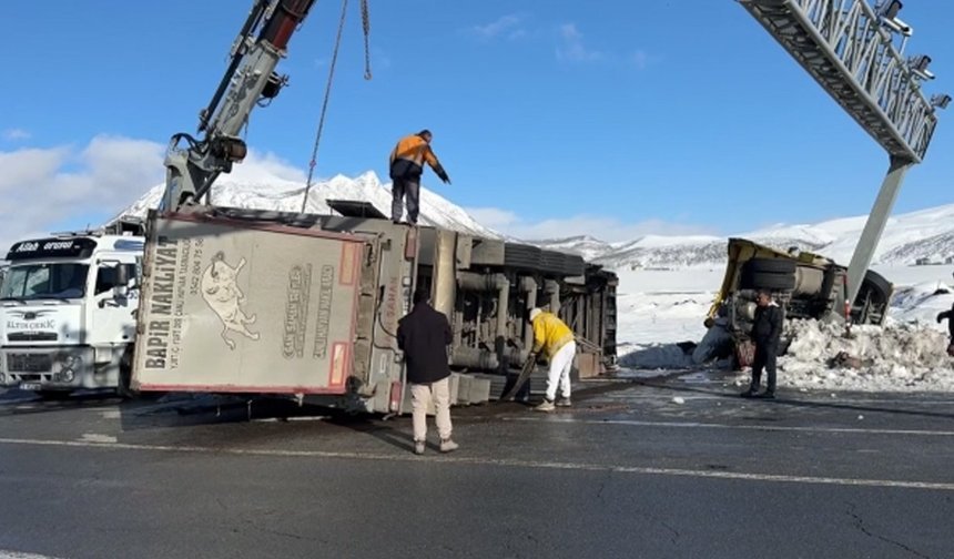 Büyükbaş hayvan yüklü iki tır devrildi