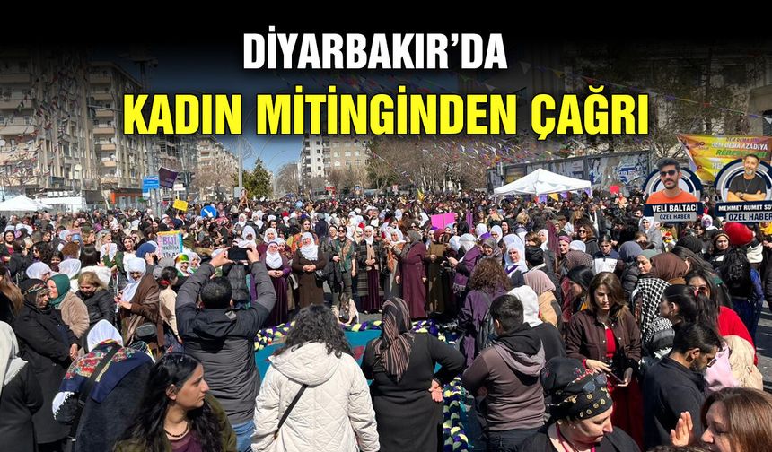Diyarbakır’da kadın mitinginden çağrı