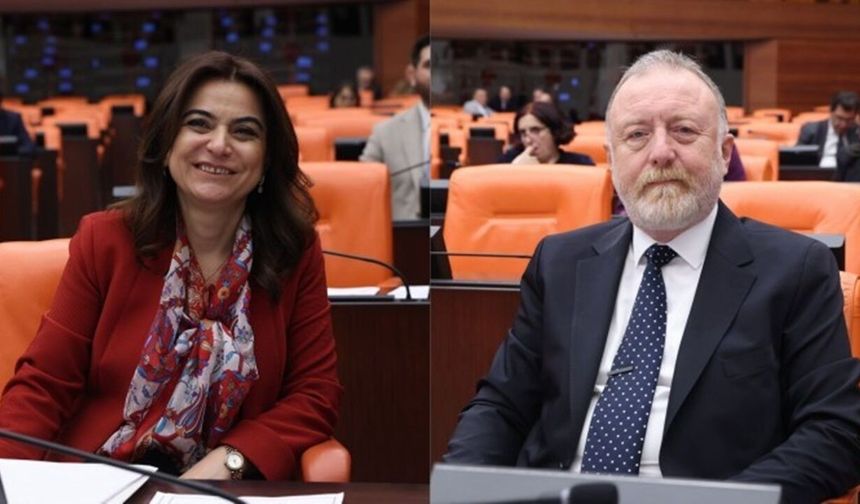 DEM Parti'den kadın istihdamı araştırma önergesi