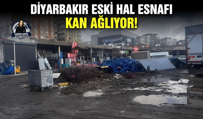 Diyarbakır Eski Hal esnafı kan ağlıyor!