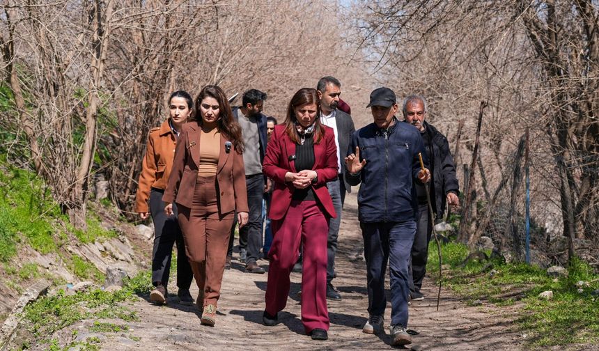 Diyarbakır Hevsel Bahçeleri gözden geçirildi