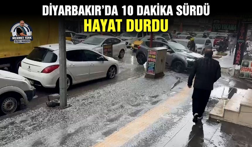 Diyarbakır’da 10 dakika sürdü, hayat durdu