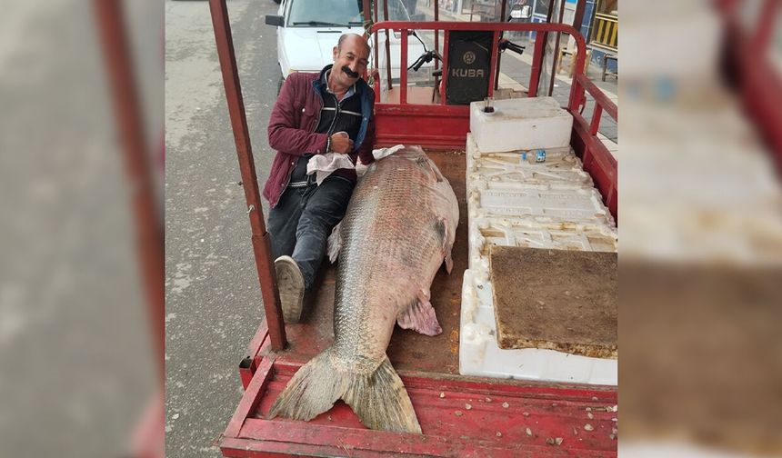 Diyarbakır'da 120 kiloluk turna balığı