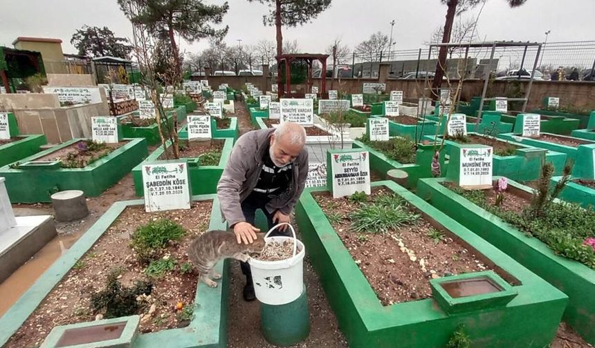 Diyarbakır’da bayramda sokak hayvanları unutulmadı