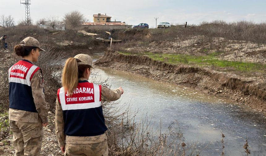 Diyarbakır'da mahsur kalan balıklar kurtarıldı