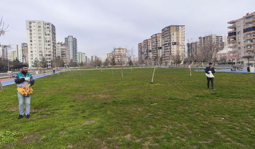 Diyarbakır’da parklardaki çimler bakıma alındı