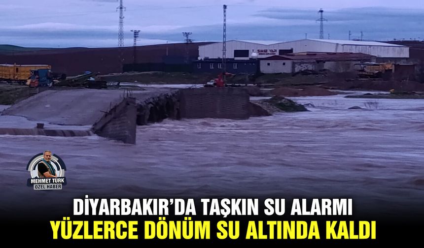 Diyarbakır’da taşkın su alarmı: Yüzlerce dönüm su altında kaldı