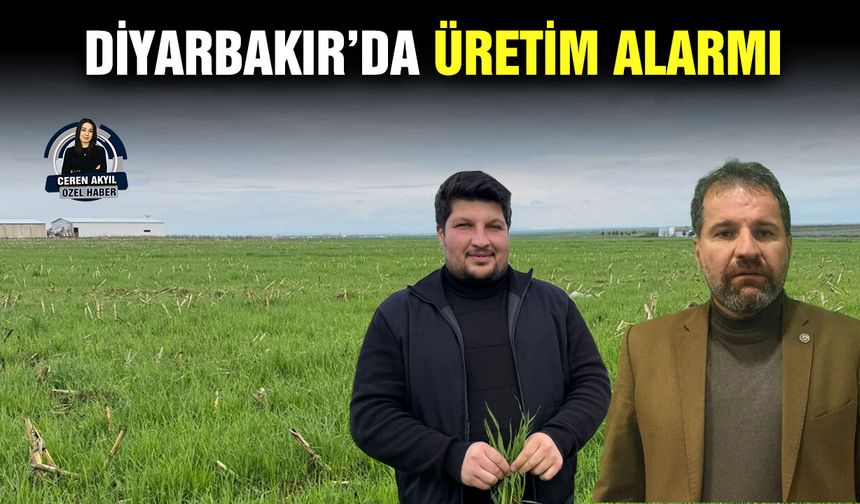 Diyarbakır’da üretim alarmı