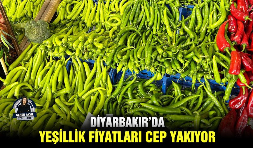 Diyarbakır’da yeşillik fiyatları cep yakıyor