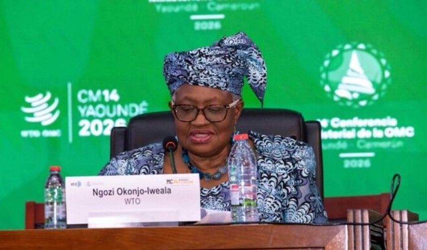 DTÖ uyardı: Küresel ticaret sistemi 80 yılın en kötü sarsıntılarını yaşıyor