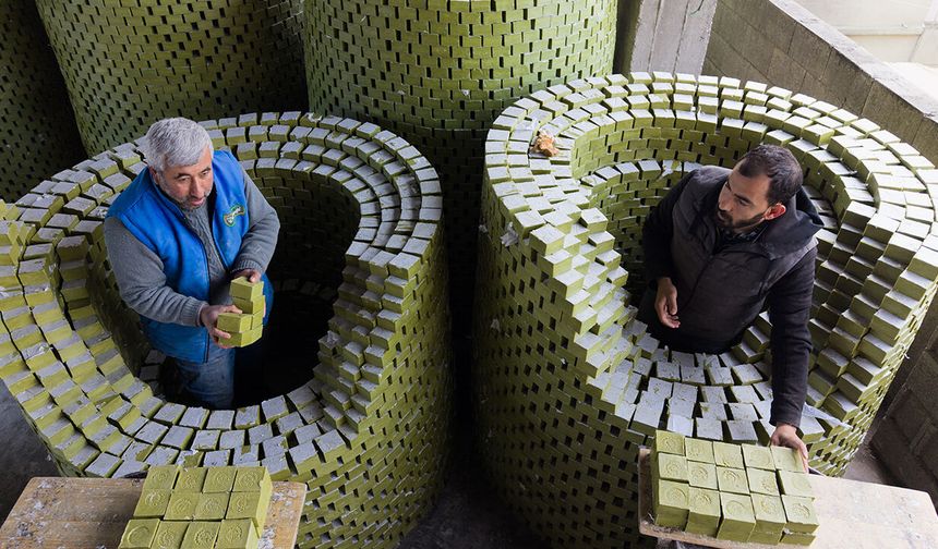 Geleneksel yöntemlerle üretilen zeytin sabunu talep görüyor