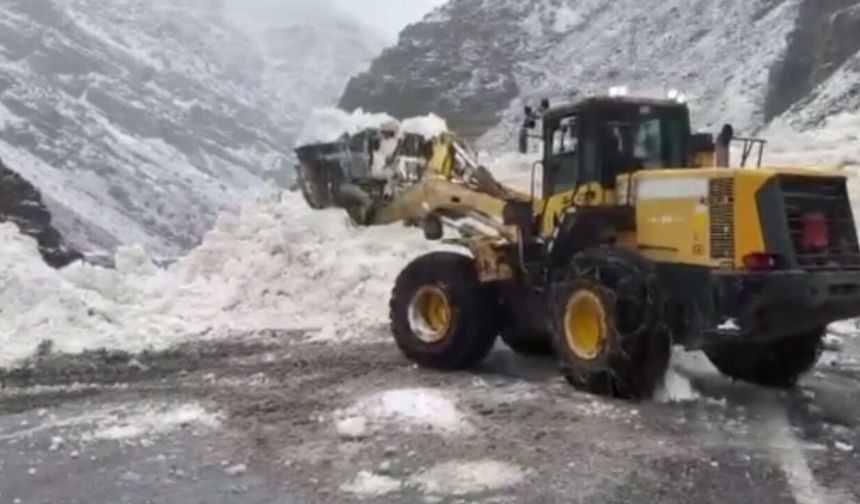 Hakkari-Çukurca kara yolu çığ nedeniyle kapandı