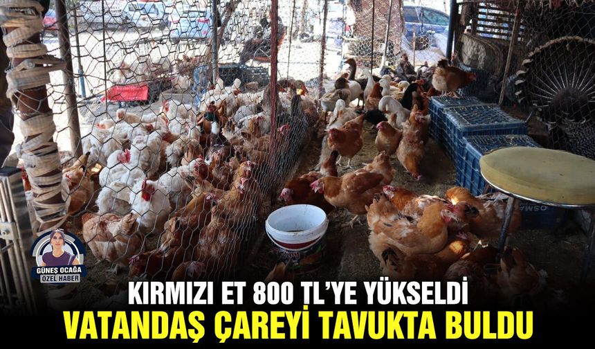 Kırmızı et 800 TL’ye yükseldi, vatandaş çareyi tavukta buldu