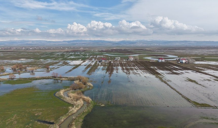 Muş Ovası’nda tarım arazileri sular altında